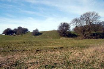 Cainhoe Castle